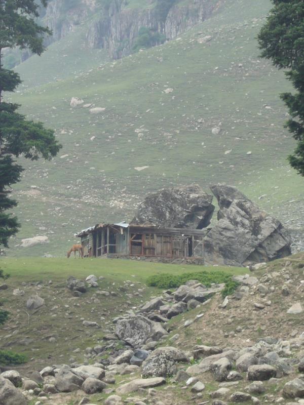 Travel - India - Kashmir - Aru - Lidderwat Expedition